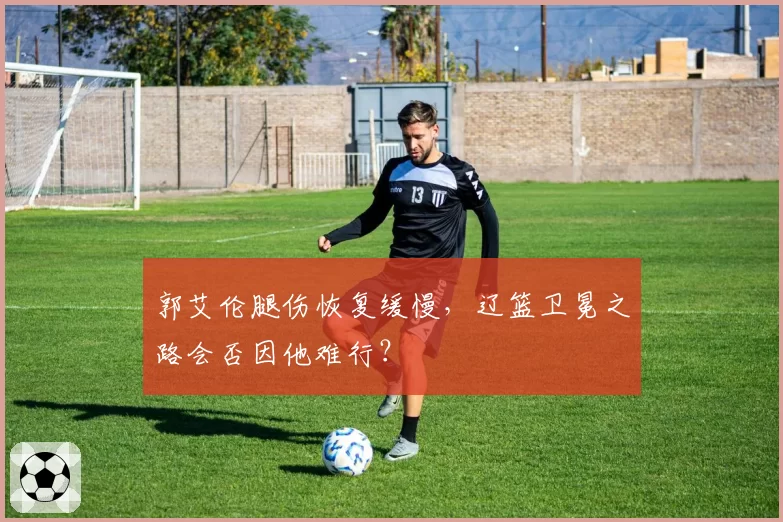 郭艾伦腿伤恢复缓慢,辽篮卫冕之路会否因他难行?